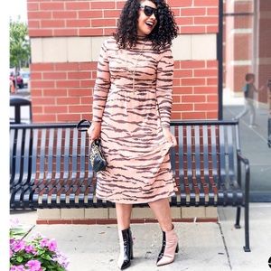 Wild Fable Tiger Print Dress